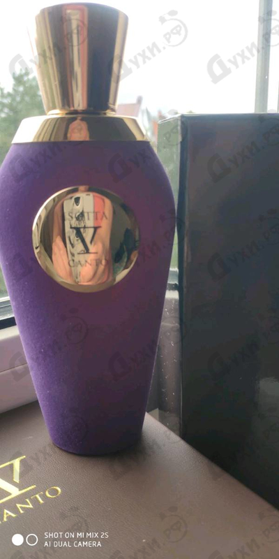 Купить V Canto Isotta