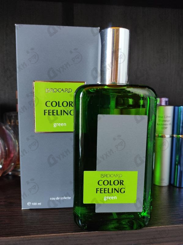 Купить Color Feeling Green от Brocard