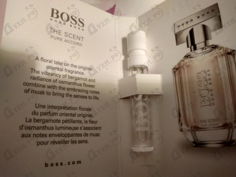 Духи The Scent Pure Accord от Hugo Boss