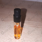 Отзывы Memo Sintra