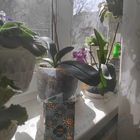 Парфюм Memo Sintra