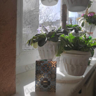 Духи Sintra от Memo