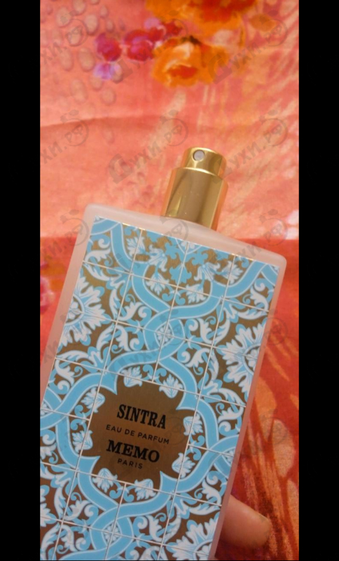 Купить Sintra от Memo