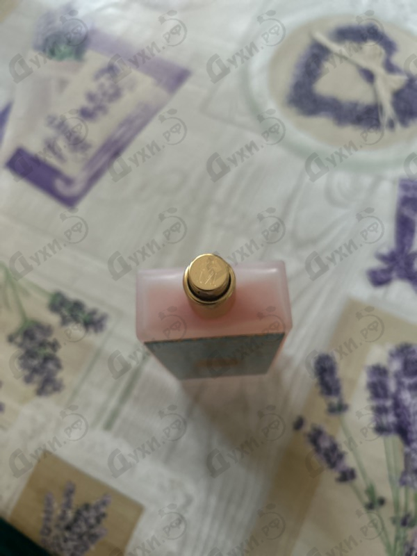 Парфюмерия Sintra от Memo