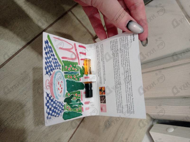 Купить Sintra от Memo