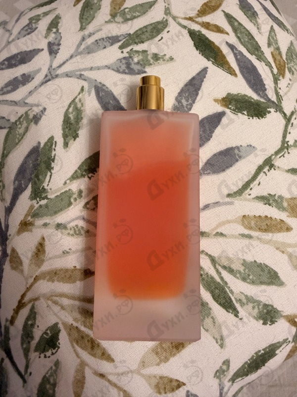 Духи Sintra от Memo