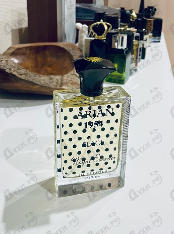 Купить Norana Perfumes Arjan 1954 Black