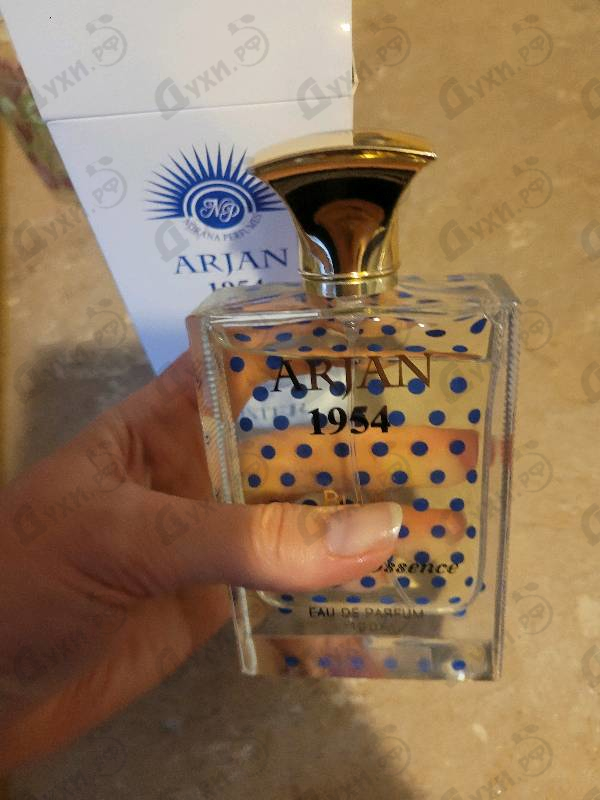 Купить Arjan 1954 Blue от Norana Perfumes