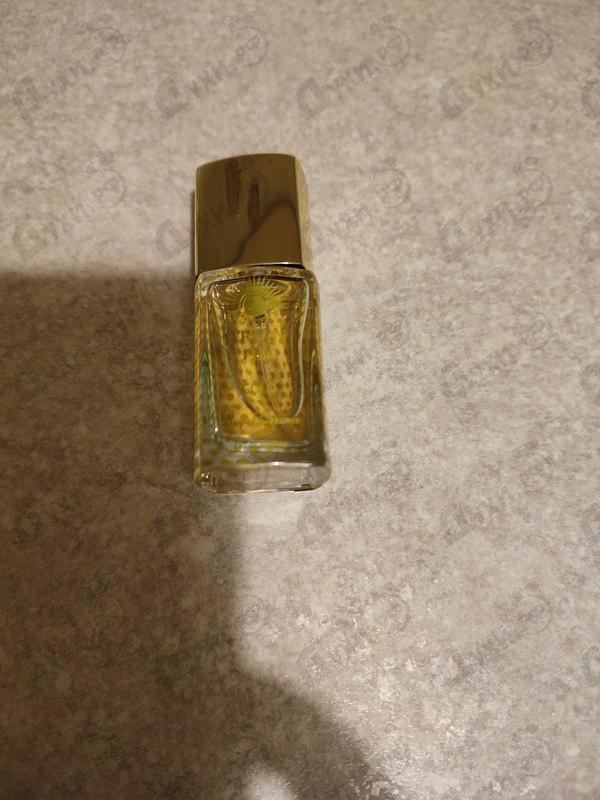 Купить Arjan 1954 Gold от Norana Perfumes