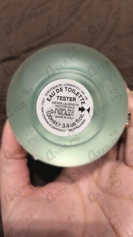 Парфюмерия Dylan Turquoise от Versace