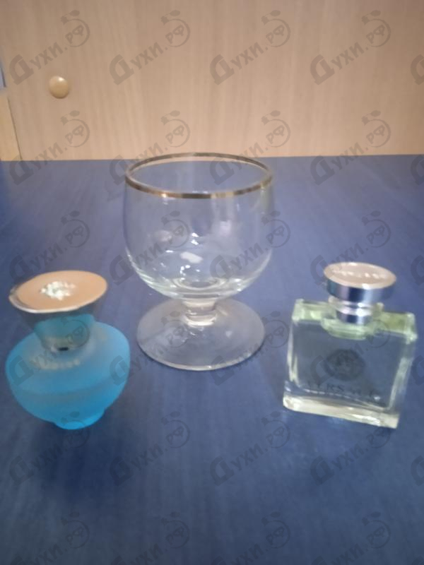 Купить Dylan Turquoise от Versace