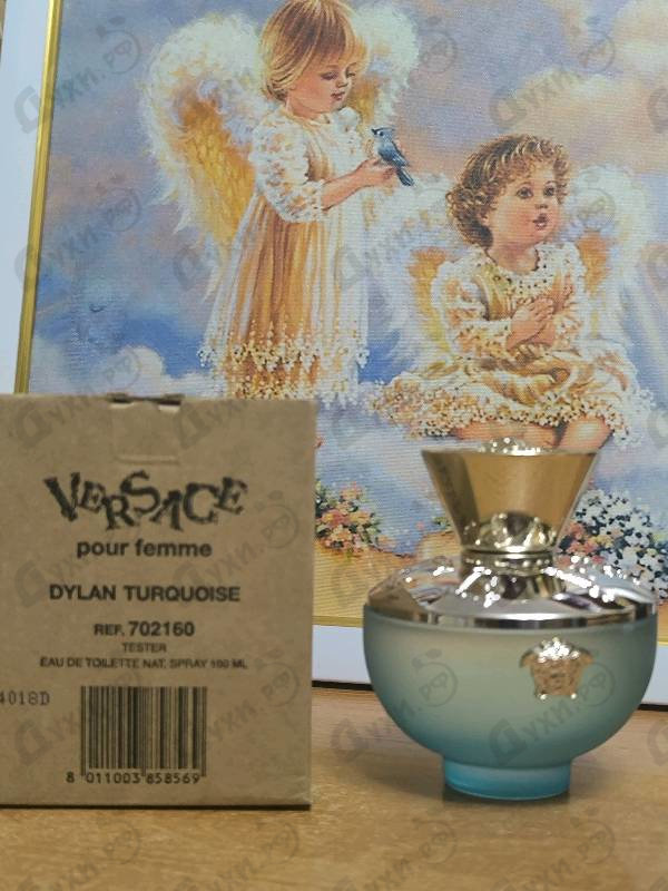 Отзывы Versace Dylan Turquoise