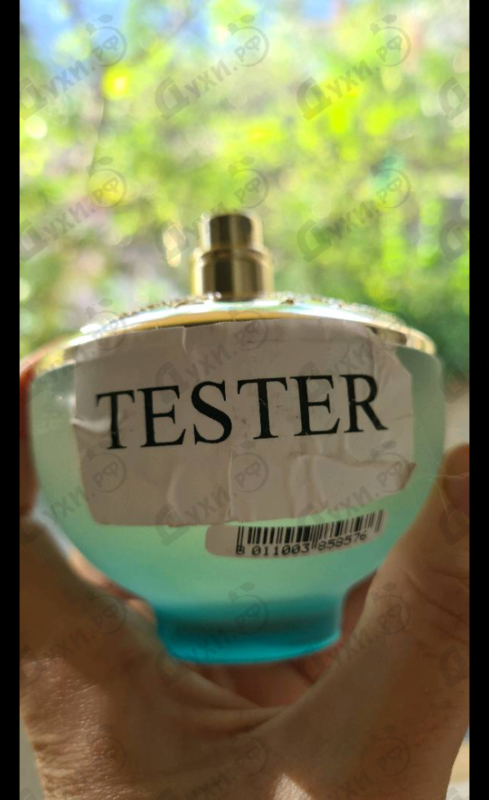 Отзыв Versace Dylan Turquoise