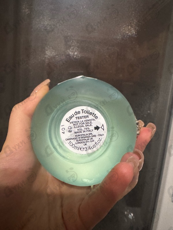 Парфюмерия Dylan Turquoise от Versace