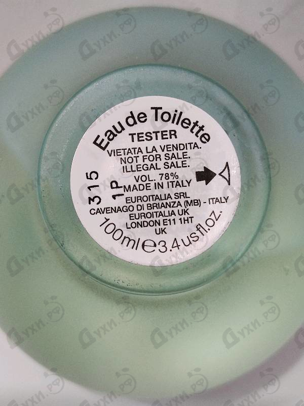 Парфюмерия Dylan Turquoise от Versace