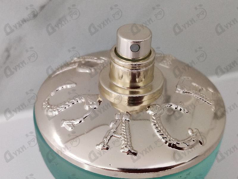 Парфюмерия Versace Dylan Turquoise