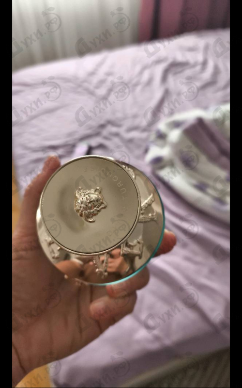 Купить Dylan Turquoise от Versace