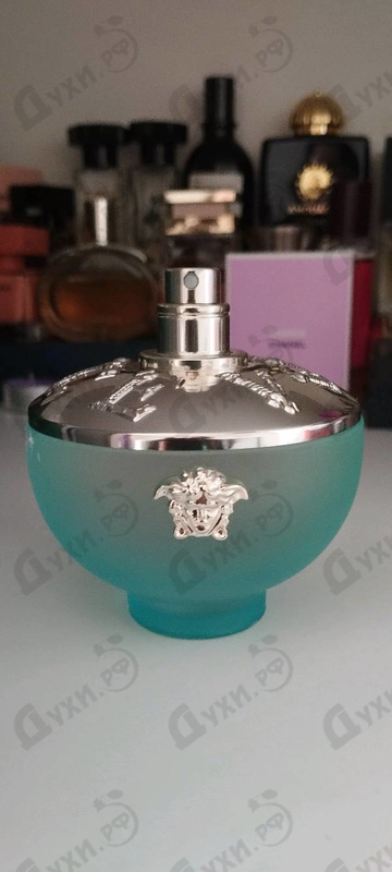 Купить Dylan Turquoise от Versace