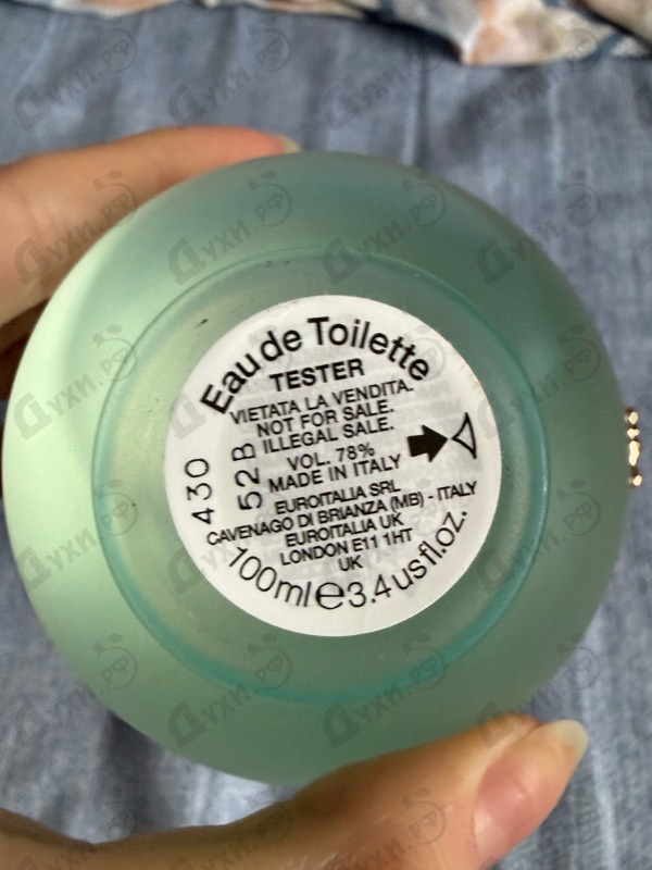 Парфюмерия Dylan Turquoise от Versace