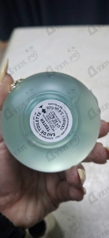 Купить Versace Dylan Turquoise