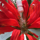 Парфюм Nina Ricci Nina Rose