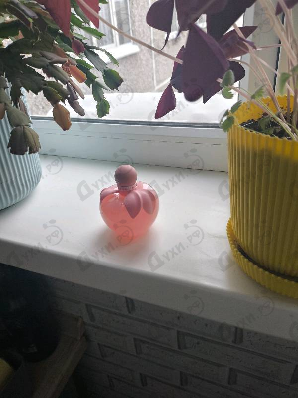 Духи Nina Rose от Nina Ricci