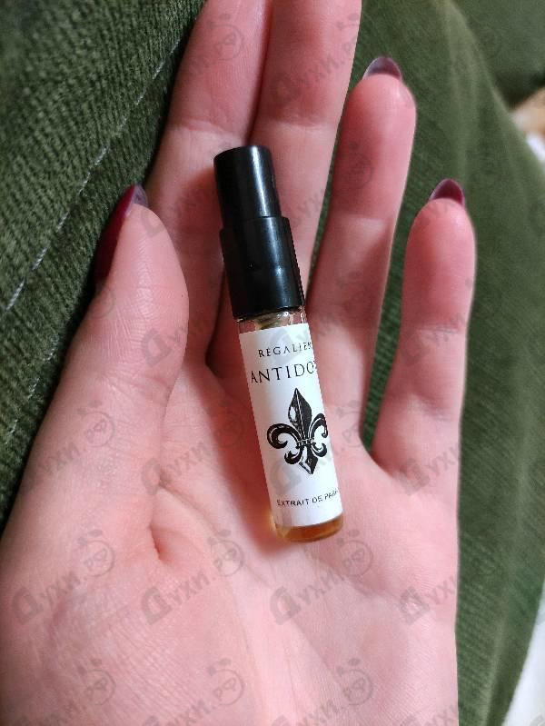 Купить Regalien Antidote Купить Antidote от Regalien