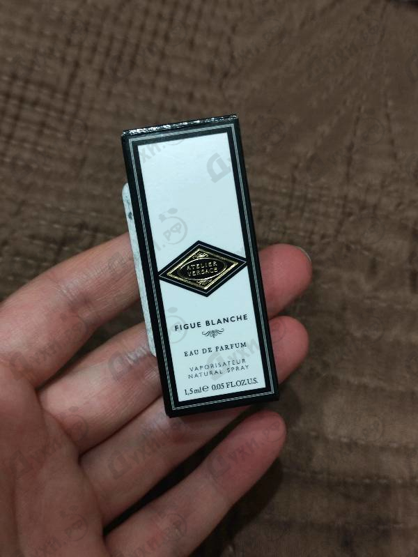 Купить Figue Blanche от Versace