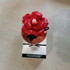 Духи Dolce Rose Eau De Toilette от Dolce & Gabbana