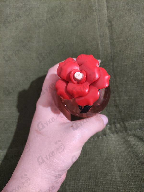 Купить Dolce & Gabbana Dolce Rose Eau De Toilette Парфюмерия Dolce Rose Eau De Toilette от Dolce & Gabbana