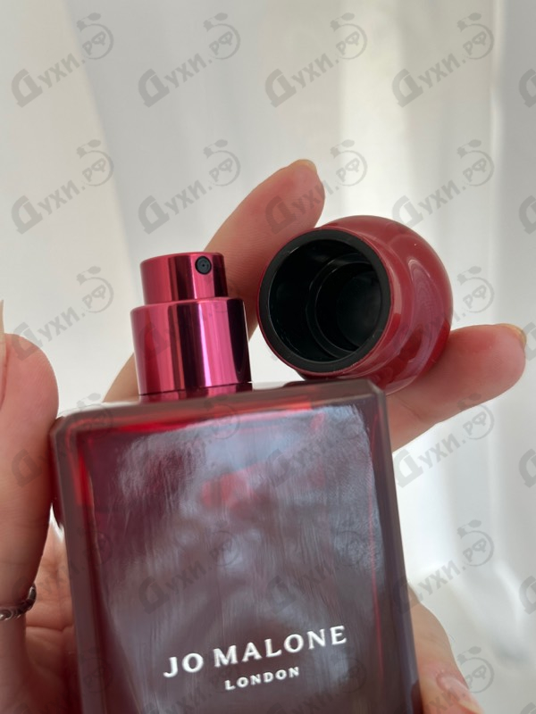 Парфюмерия Jo Malone Scarlet Poppy Купить Scarlet Poppy от Jo Malone