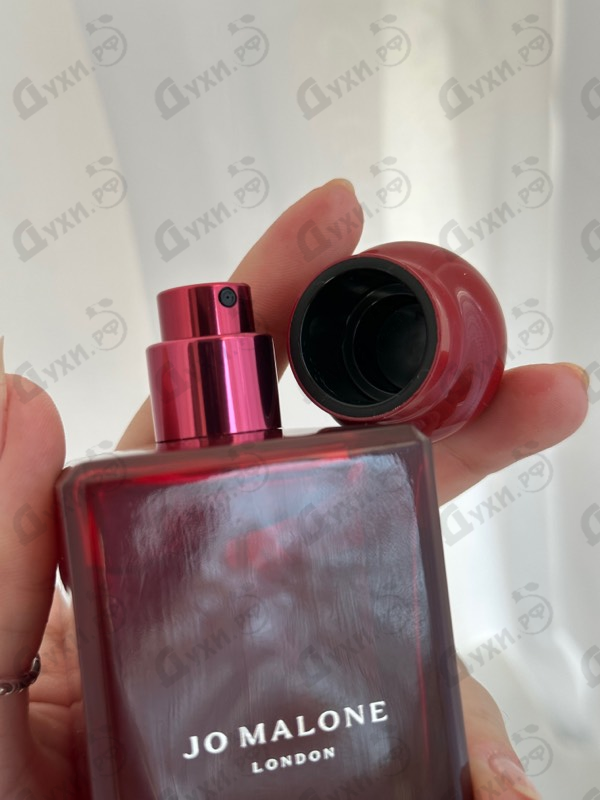 Купить Scarlet Poppy от Jo Malone