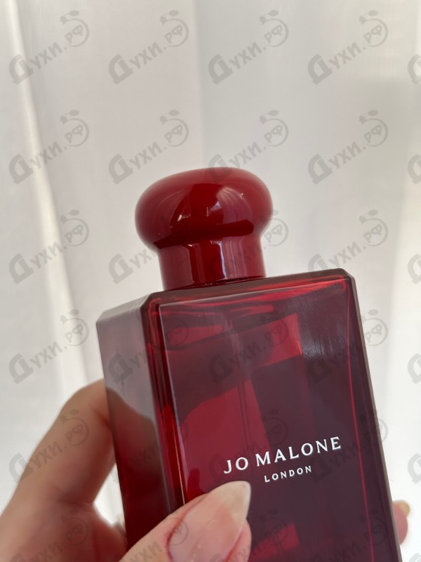 Парфюм Jo Malone Scarlet Poppy Духи Scarlet Poppy от Jo Malone