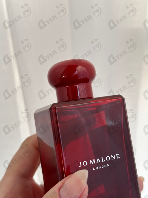 Духи Scarlet Poppy от Jo Malone