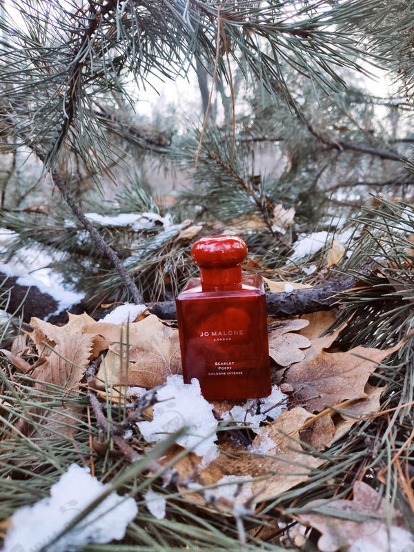 Парфюмерия Jo Malone Scarlet Poppy Духи Scarlet Poppy от Jo Malone