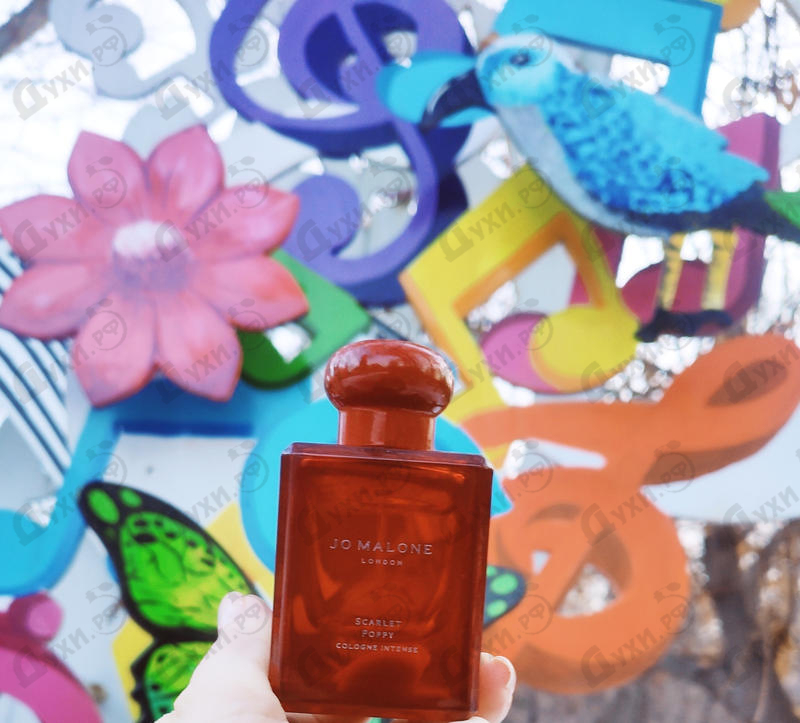Духи Scarlet Poppy от Jo Malone Отзывы Jo Malone Scarlet Poppy