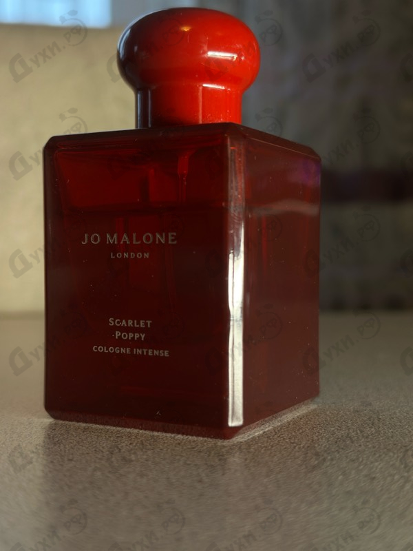 Купить Scarlet Poppy от Jo Malone