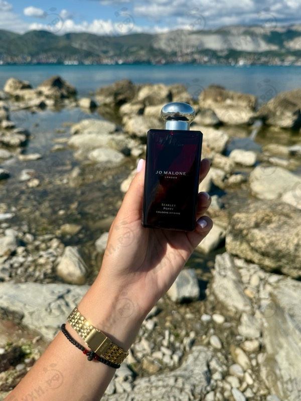 Купить Jo Malone Scarlet Poppy