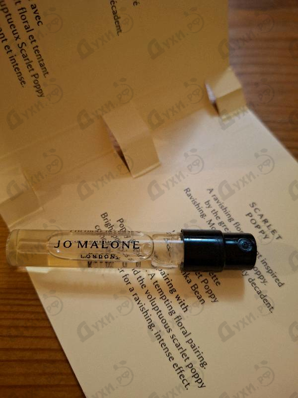 Купить Scarlet Poppy от Jo Malone