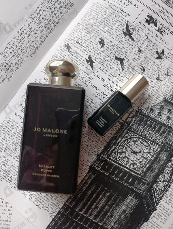Купить Scarlet Poppy от Jo Malone