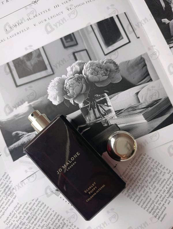 Духи Scarlet Poppy от Jo Malone