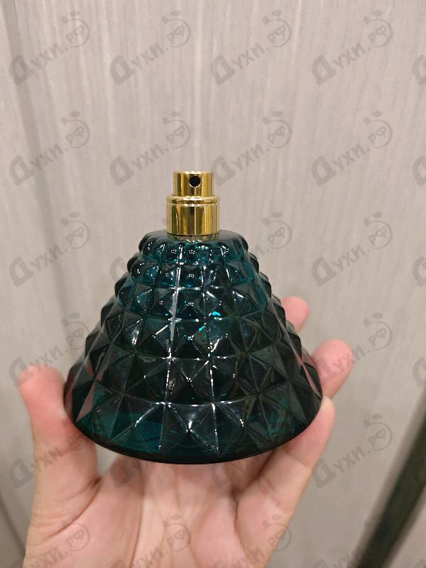 Отзыв Pepe Jeans Celebrate