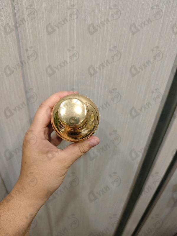 Купить Pepe Jeans Celebrate