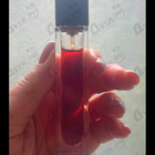 Отзыв Serge Lutens La Dompteuse Encagee