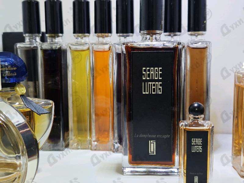 Парфюмерия La Dompteuse Encagee от Serge Lutens