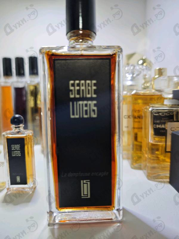 Отзывы Serge Lutens La Dompteuse Encagee