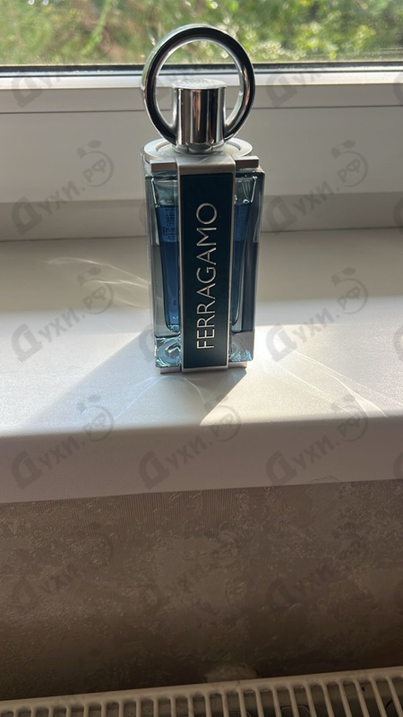 Купить Ferragamo Intense Leather от Salvatore Ferragamo