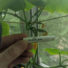 Духи Mon Guerlain Sparkling Bouquet от Guerlain