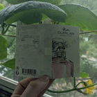 Отзыв Guerlain Mon Guerlain Sparkling Bouquet