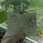 Отзыв Guerlain Mon Guerlain Sparkling Bouquet